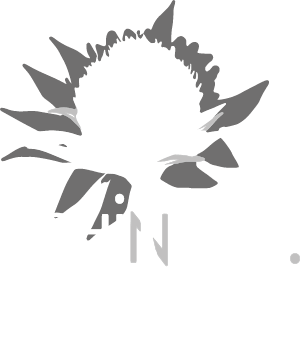 Logo Echinops Graines